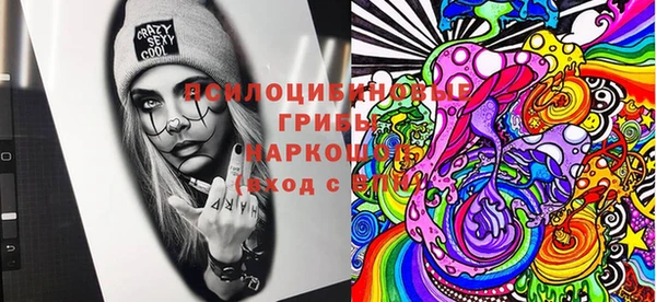 ГАЛЛЮЦИНОГЕННЫЕ ГРИБЫ Баксан
